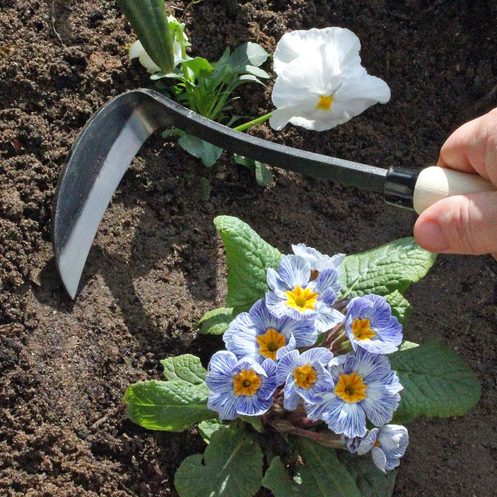 Burgon & Ball Ukrudtshakke